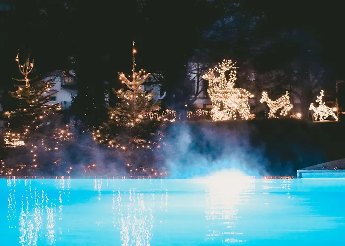 Parkhotel באד וויריסהופן