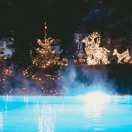 Parkhotel באד וויריסהופן